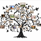 Drevený fotorámik na stenu – Rodinný strom s vtáčikmi a motýľmi
